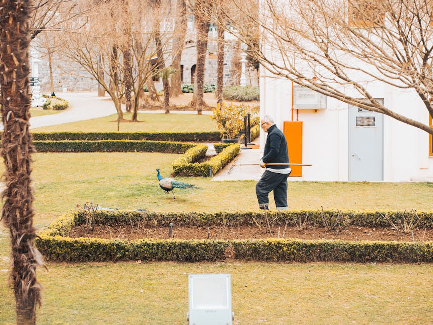 A gardener wearing dark clothing and white gloves is trimming a low hedge with garden shears in a neatly maintained public park area. The scene includes a lawn with slightly damp, green grass and a se